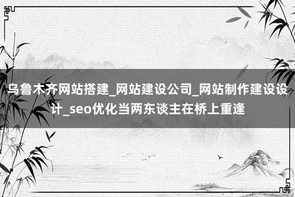 乌鲁木齐网站搭建_网站建设公司_网站制作建设设计_seo优化当两东谈主在桥上重逢